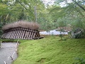 Kyoto Ginkakuji Moss